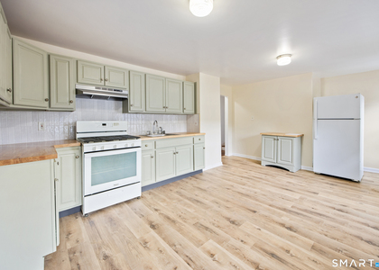 226 Meadow Street - Photo 1