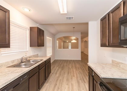 24206 San Marzano Court - Photo 1
