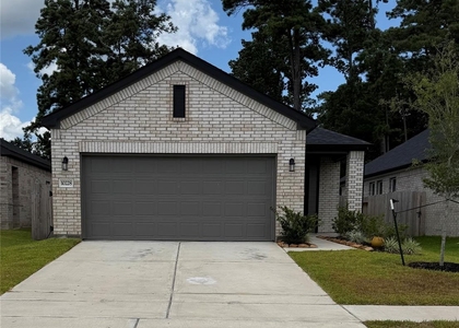 10228 Badger Run Lane - Photo 1