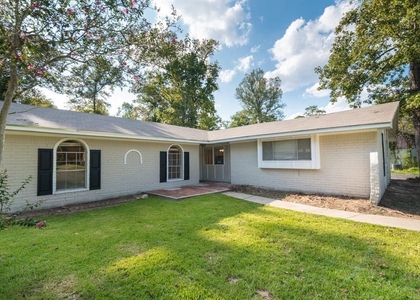 20520 Youpon Lane - Photo 1