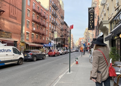 Mulberry Street - Photo 1