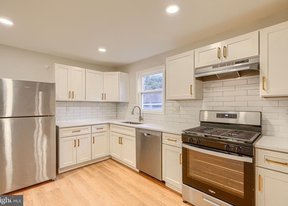 528 Potomac - Photo 1