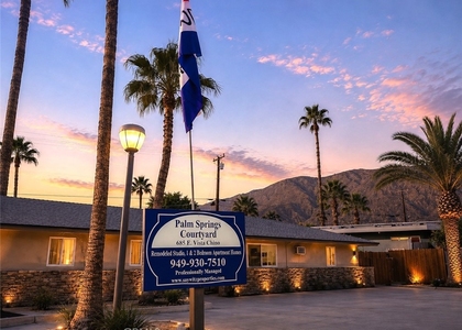 685 E Vista Chino - Photo 1