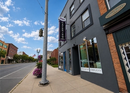 10 E Genesee Street - Photo 1