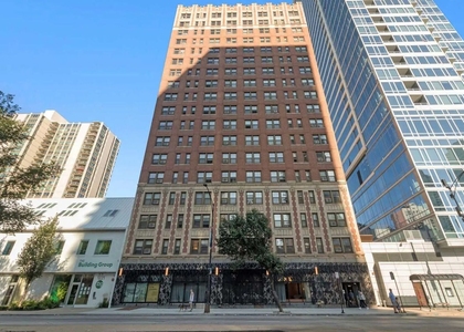 1211 N Lasalle Street - Photo 1