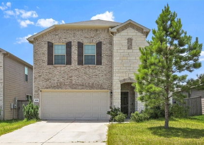234 Pine Cavern Drive - Photo 1