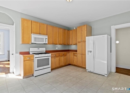 171 Norton Street - Photo 1