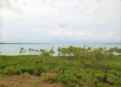 27 Harbour Isle Drive W - Photo 1