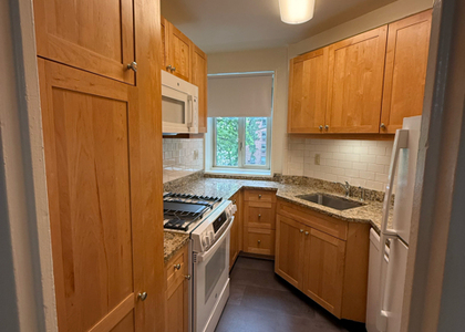 Stuytown - Photo 1