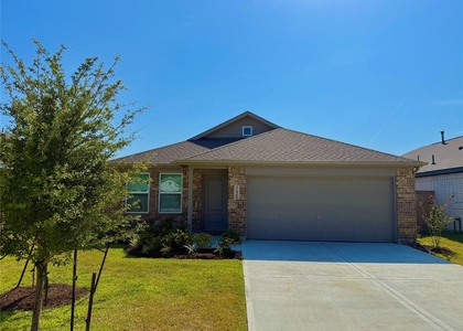 31506 Pianella Lane - Photo 1