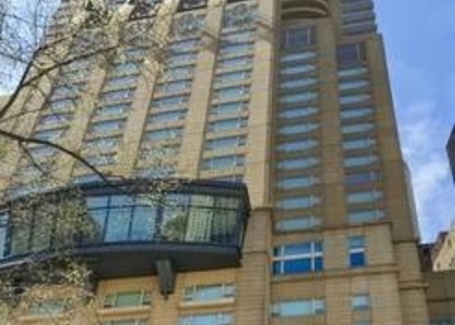 800 N Michigan Avenue - Photo 1