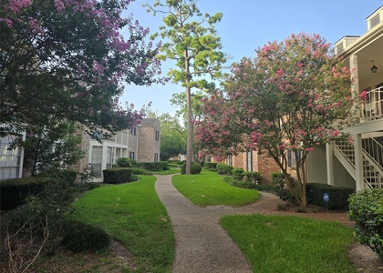 12968 Trail Hollow Drive - Photo 1