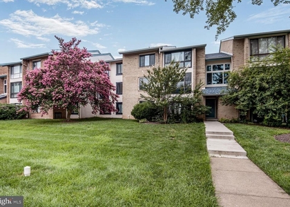 10223 Valentino Drive - Photo 1