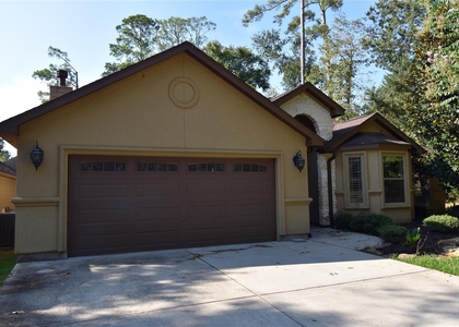 13419 Sea Island Drive - Photo 1