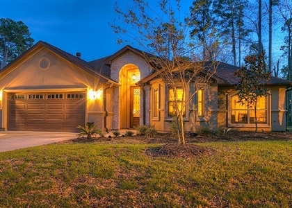 13419 Sea Island Drive - Photo 1
