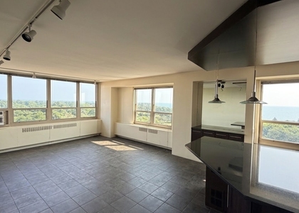 3950 N Lake Shore Drive - Photo 1