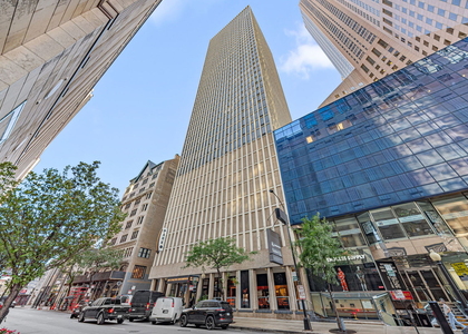 100 E Walton Street - Photo 1