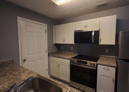 17301 Waldrop Cove - Photo 1