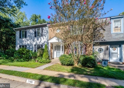 7416 Spring Tree Drive - Photo 1