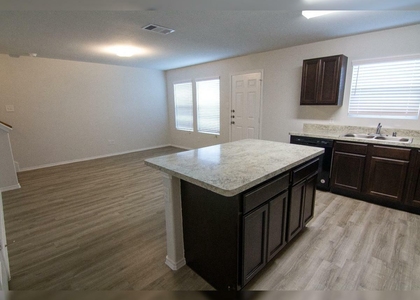 3922 Richey Silver Street - Photo 1