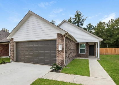 13528 White Ibis Street - Photo 1