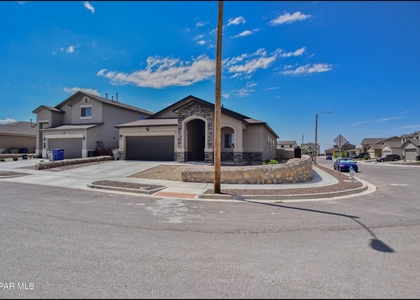 6980 White Mesquite Way - Photo 1