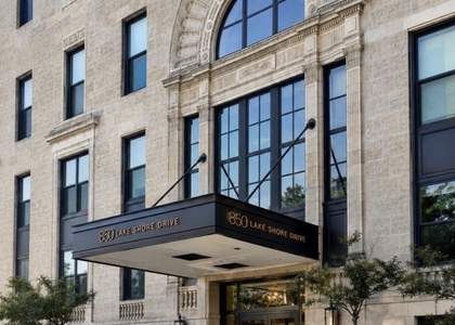 850 N Lake Shore Drive - Photo 1