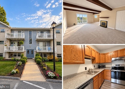 17 Warren Lodge Court - Photo 1