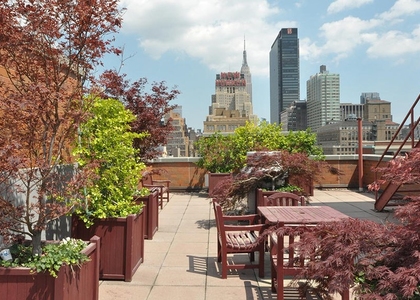 Hudson Yards High-Floor Gem |  - Photo 1