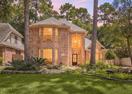 26 Cinnamon Teal Place - Photo 1