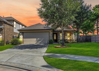 20502 S Blue Hyacinth Drive - Photo 1