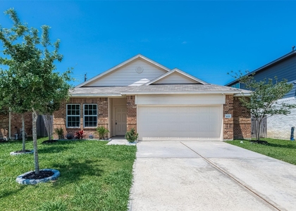 4435 Painted Bunting Lane - Photo 1