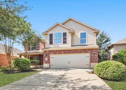 71 Black Swan Place - Photo 1