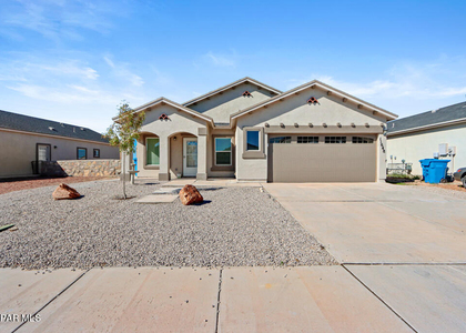 11648 Flor Freesia Drive - Photo 1