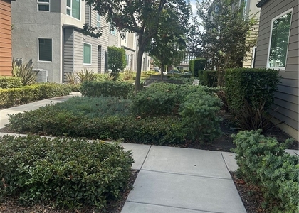 8013 Olive Lane - Photo 1