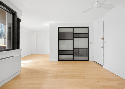 233 E 86th Street - Photo 1