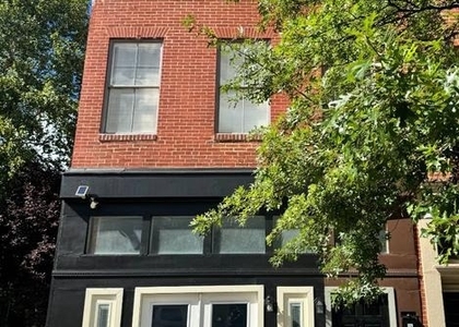 1030 Hollins Street - Photo 1