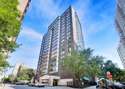 21 W Goethe Street - Photo 1