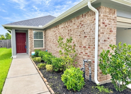 6526 Verbena Blossom Trail - Photo 1