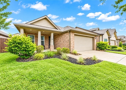 24310 Palomino Sage Trail - Photo 1