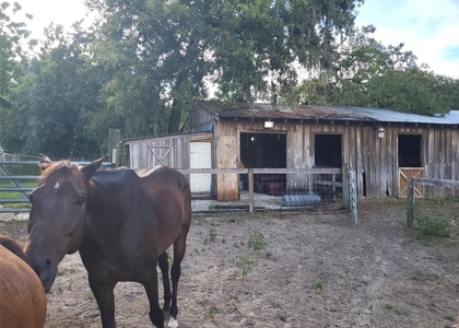 11115b Pinto Drive - Photo 1