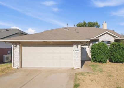 4004 Night Hawk Drive - Photo 1