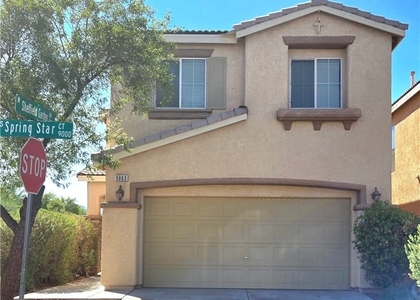 9063 Spring Star Court - Photo 1
