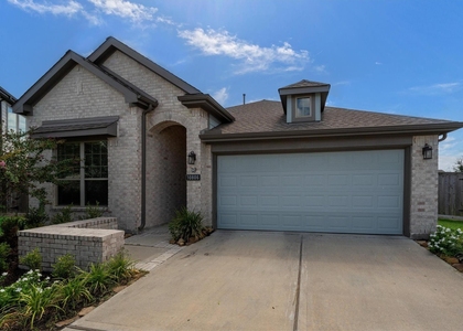10806 Chrysalis Court - Photo 1