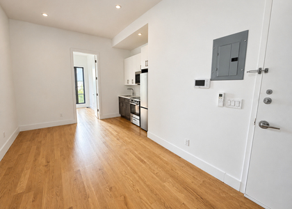 437 Dekalb Avenue - Photo 1