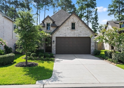434 Soapberry Tree Court - Photo 1