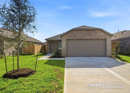 31208 Piccolo Fiore Lane - Photo 1
