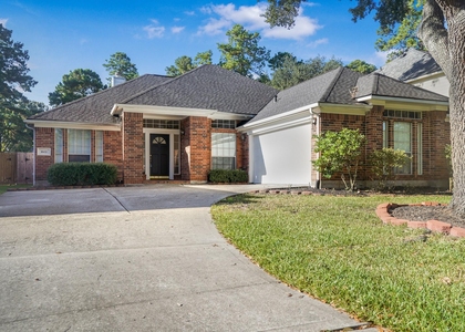 1602 Summer Rain Drive - Photo 1