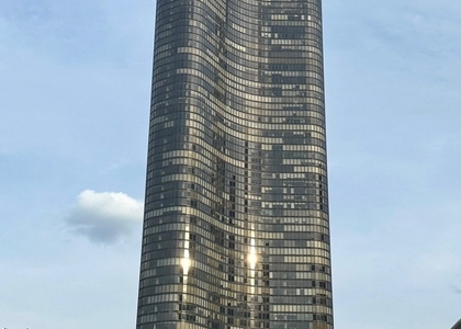 505 N Lake Shore Drive - Photo 1