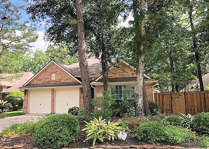 14 Tethered Vine Place - Photo 1